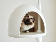 株式会社オーエフティーのプレスリリース画像3