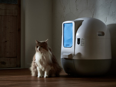 株式会社オーエフティーのプレスリリース画像2