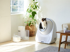 株式会社オーエフティーのプレスリリース画像8