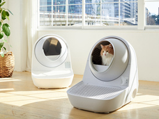 株式会社オーエフティーのプレスリリース画像5