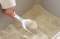 株式会社オーエフティーのプレスリリース画像6