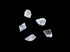 株式会社オーエフティーのプレスリリース画像1