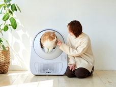 株式会社オーエフティーのプレスリリース画像2