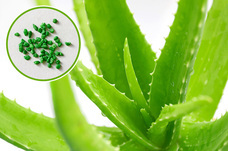 株式会社オーエフティーのプレスリリース画像3