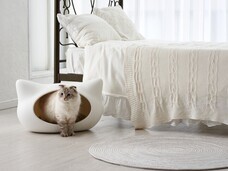 株式会社オーエフティーのプレスリリース画像5