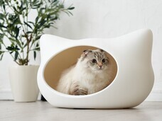 株式会社オーエフティーのプレスリリース画像1