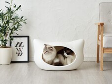 株式会社オーエフティーのプレスリリース画像3