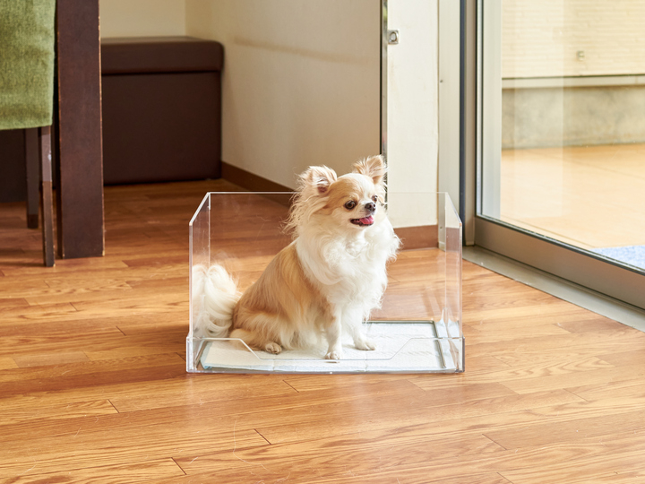 ロングセラー犬トイレ『クリアレット2』が一部リニューアル‼汚れにくく使いやすいメッシュトレーヘ - 株式会社オーエフティーのプレスリリース