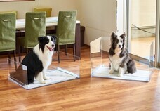 株式会社オーエフティーのプレスリリース画像7