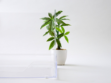 株式会社オーエフティーのプレスリリース画像2