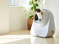 株式会社オーエフティーのプレスリリース画像1