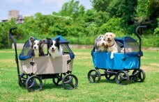 株式会社オーエフティーのプレスリリース画像1