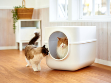 株式会社オーエフティーのプレスリリース画像3