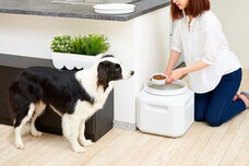 株式会社オーエフティーのプレスリリース画像2