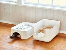 株式会社オーエフティーのプレスリリース画像4