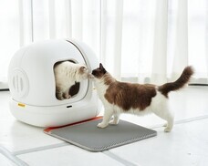 株式会社オーエフティーのプレスリリース画像3