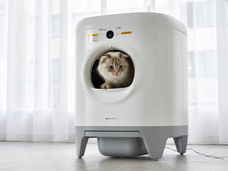 株式会社オーエフティーのプレスリリース画像2