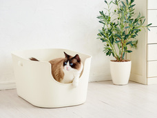 株式会社オーエフティーのプレスリリース画像4