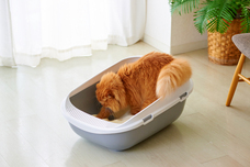 株式会社オーエフティーのプレスリリース画像2