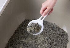 株式会社オーエフティーのプレスリリース画像4