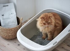 株式会社オーエフティーのプレスリリース画像2