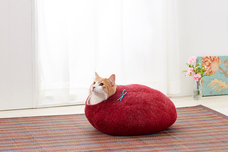 株式会社オーエフティーのプレスリリース画像4