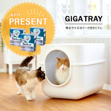 株式会社オーエフティーのプレスリリース画像2