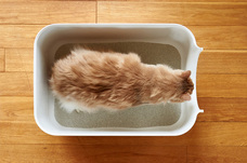 株式会社オーエフティーのプレスリリース画像3