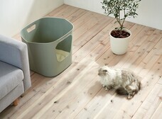 株式会社オーエフティーのプレスリリース画像3