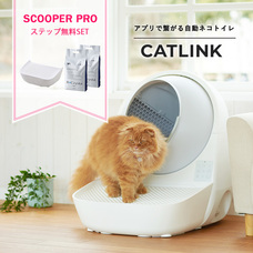 株式会社オーエフティーのプレスリリース画像2