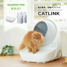 株式会社オーエフティーのプレスリリース画像2