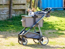 株式会社オーエフティーのプレスリリース画像2