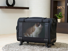 株式会社オーエフティーのプレスリリース画像1