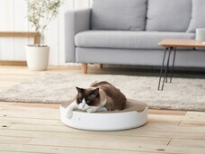 株式会社オーエフティーのプレスリリース画像2