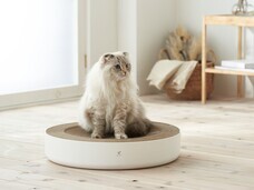 株式会社オーエフティーのプレスリリース画像5