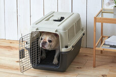 株式会社オーエフティーのプレスリリース画像3