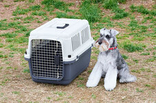 株式会社オーエフティーのプレスリリース画像2