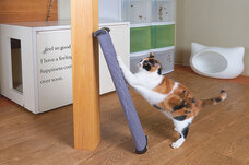 株式会社オーエフティーのプレスリリース画像4