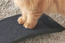 株式会社オーエフティーのプレスリリース画像3