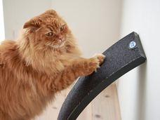 株式会社オーエフティーのプレスリリース画像2