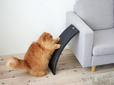 株式会社オーエフティーのプレスリリース画像5