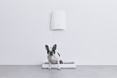 株式会社オーエフティーのプレスリリース画像2