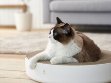 株式会社オーエフティーのプレスリリース画像2