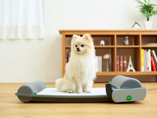 株式会社オーエフティーのプレスリリース画像1