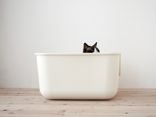 株式会社オーエフティーのプレスリリース画像4