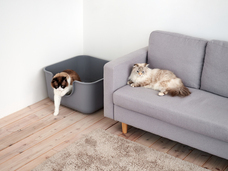 株式会社オーエフティーのプレスリリース画像2