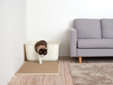 株式会社オーエフティーのプレスリリース画像3