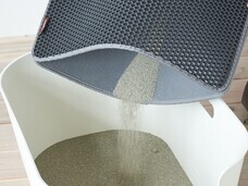 株式会社オーエフティーのプレスリリース画像2