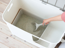 株式会社オーエフティーのプレスリリース画像2