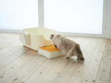 株式会社オーエフティーのプレスリリース画像2